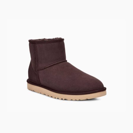 UGG Classic Mini Brown Boots for Men (YUSK31670)